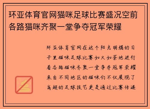 环亚体育官网猫咪足球比赛盛况空前各路猫咪齐聚一堂争夺冠军荣耀
